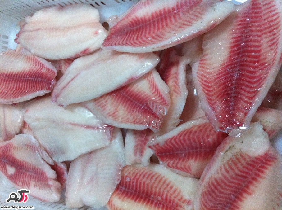 خواص و مضرات ماهی تیلاپیا