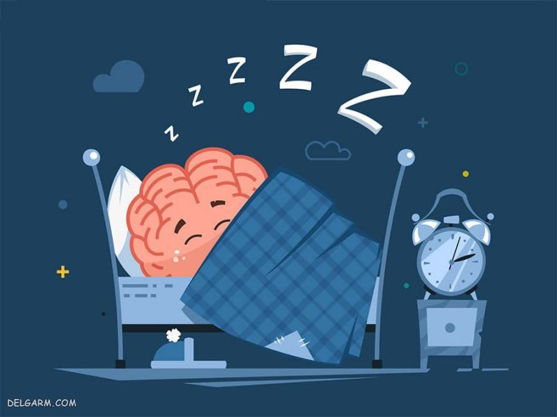 مغز انسان هنگام خواب