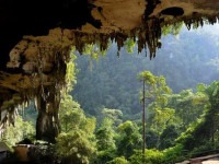 10 غار زیبا و تماشایی در مالزی