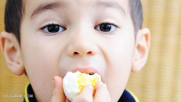 ۱۰ ماده غذایی مقوی برای تقویت حافظه و مغز کودکان