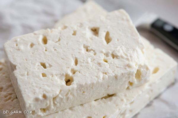۲۰ پنیر مشهور از بهترین پنیرهای دنیا برای مصرف روزانه