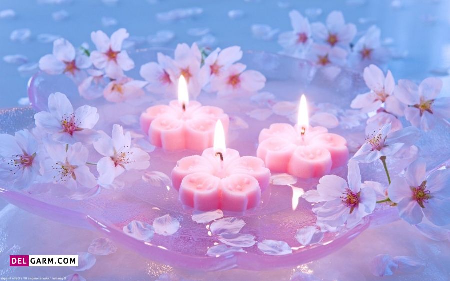 عکس زیبا از شمع و گل