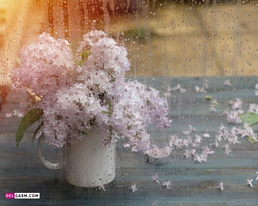 عکس باران روی شیشه پنجره