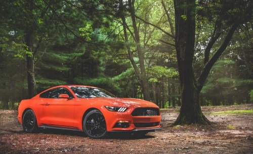 2015 Ford Mustang 2.3 EcoBoost