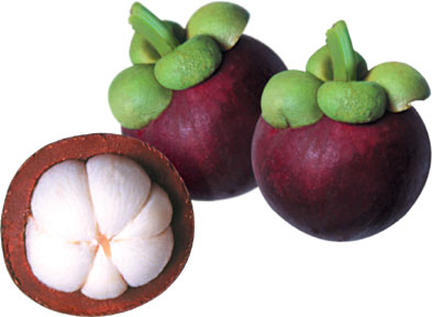 میوه های جالب اینبار Mangosteen مانگوستین