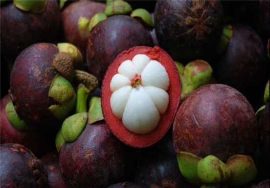 میوه های جالب اینبار Mangosteen مانگوستین